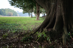 明日香村　大字川原