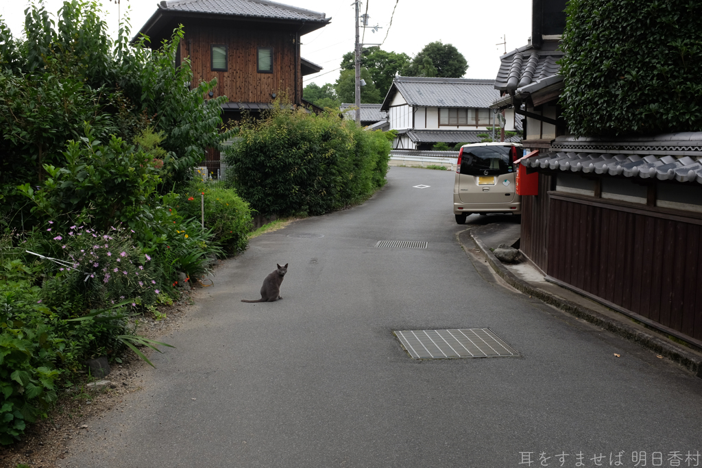 明日香村　大字祝戸