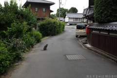 明日香村　大字祝戸