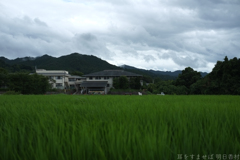 明日香村　大字川原