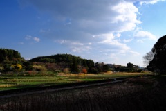 明日香村 大字飛鳥 明日香村 大字飛鳥