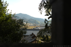 明日香村　大字川原