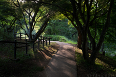 明日香村　大字平田（ 国営飛鳥歴史公園　高松塚周辺地区 ）