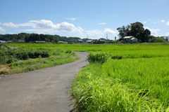 明日香村 大字小山 明日香村 大字小山