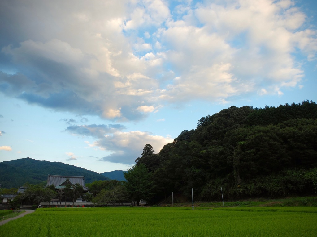 明日香村　大字橘（ 橘寺と仏頭山 ）