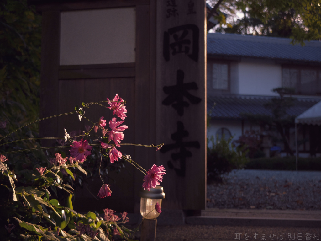 明日香村　大字岡