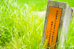 明日香村 大字平田( 国営飛鳥歴史公園 高松塚周辺地区 ) 明日香村 大字平田( 国営飛鳥歴史公園 高松塚周辺地区 )