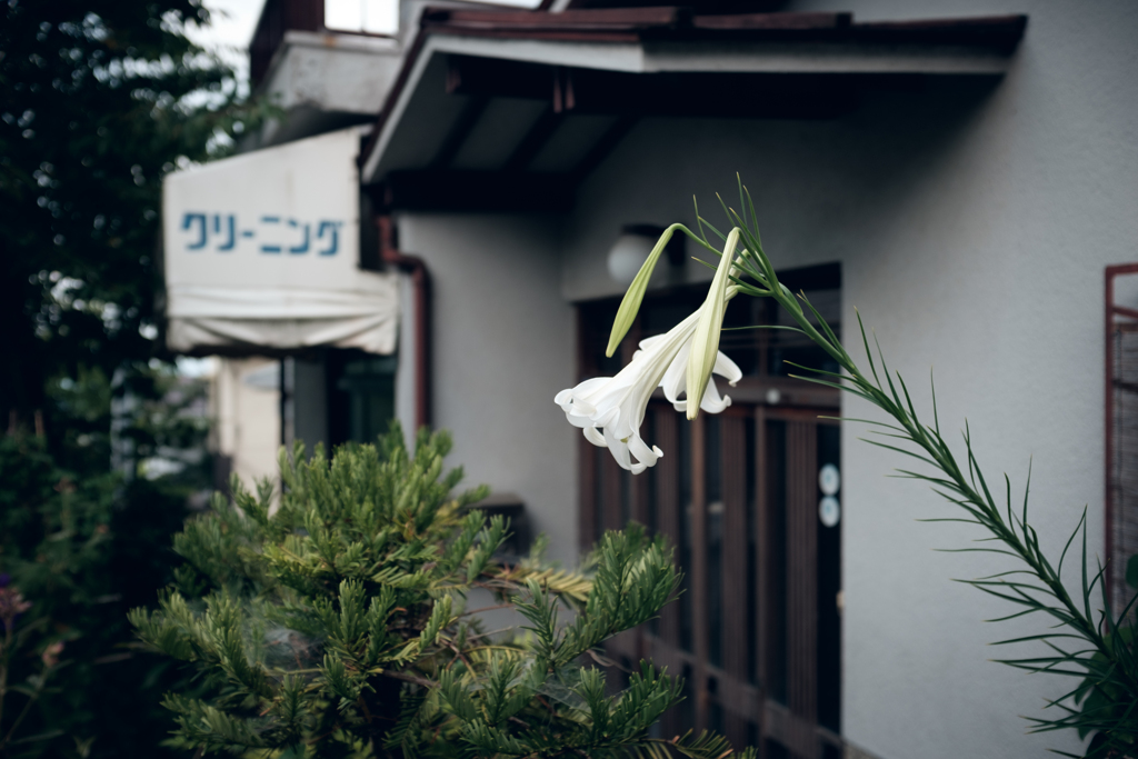 奈良県生駒市　宝山寺周辺
