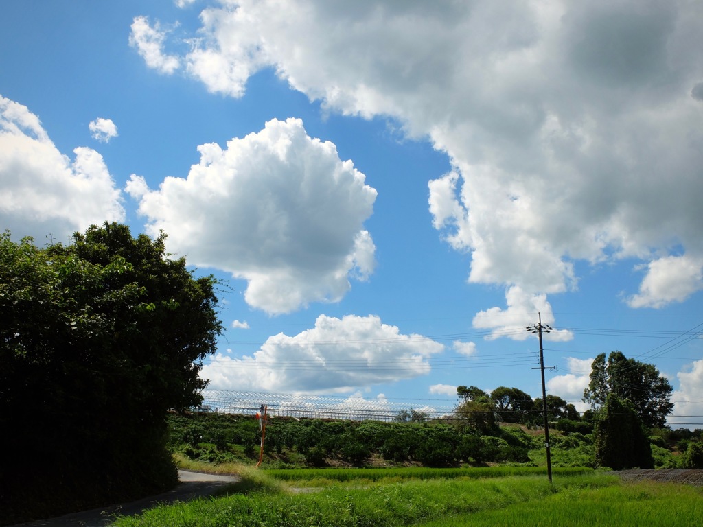 明日香村　大字平田