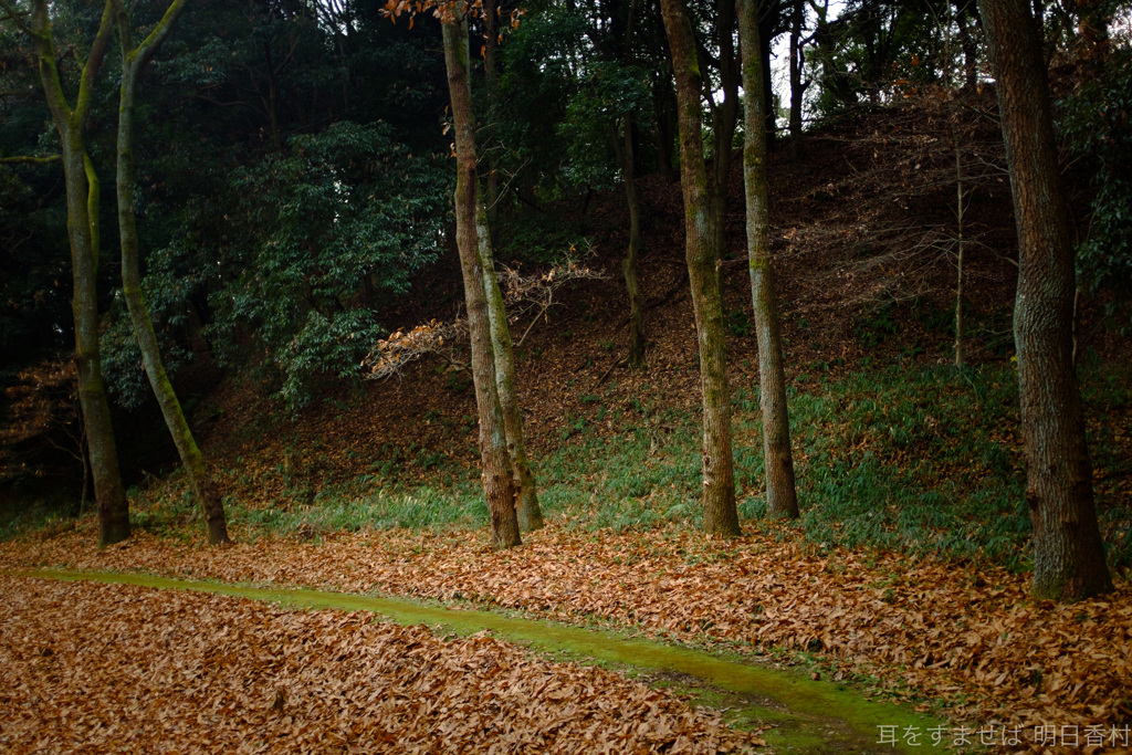 明日香村 大字豊浦（ 甘樫丘 ）