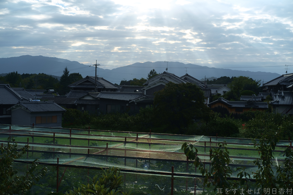 明日香村　大字橘
