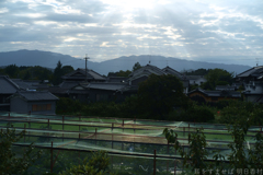 明日香村　大字橘