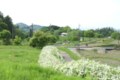 明日香村　大字大根田