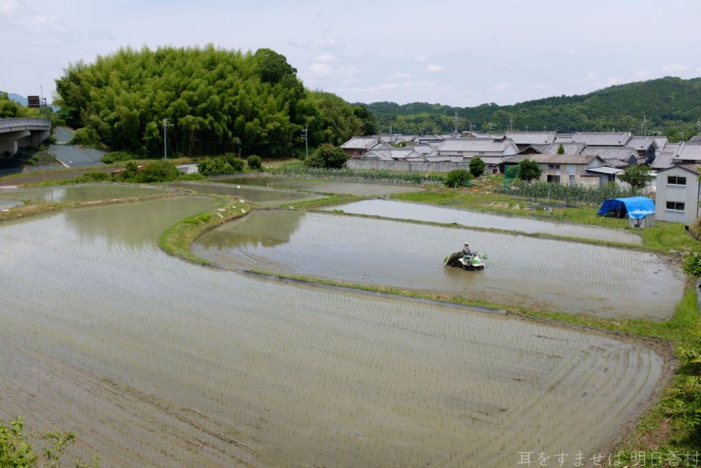 奈良県高市郡高取町