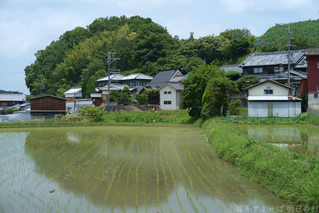 明日香村　大字平田