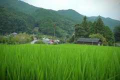 明日香村 栢森