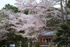 橿原市　畝火山口神社