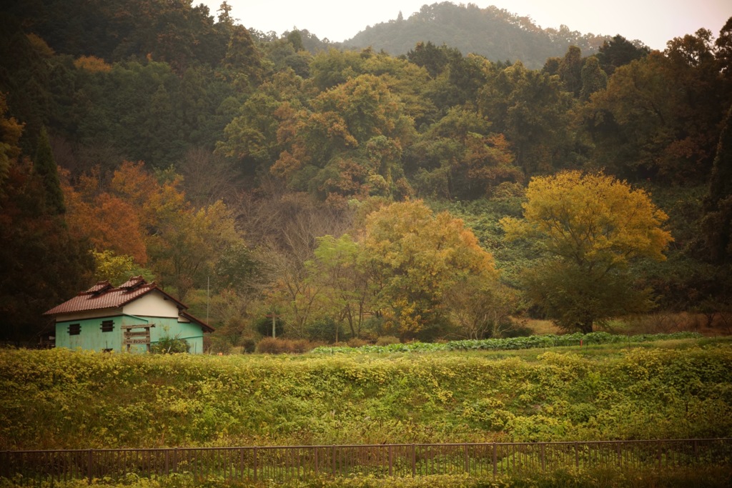 明日香村　大字平田