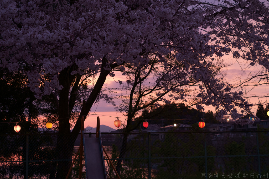 橿原市　菖蒲町