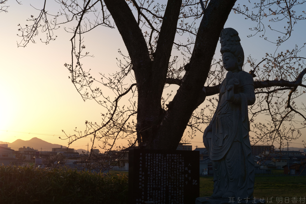 奈良県橿原市醍醐町