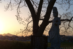 奈良県橿原市醍醐町