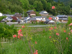 明日香村 大字大根田 明日香村 大字大根田