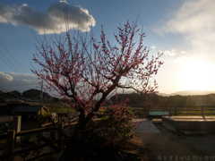明日香村 大字飛鳥 明日香村 大字飛鳥