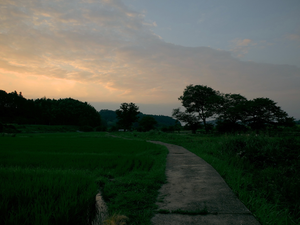 明日香村 岡 （ 川原寺跡付近 ）