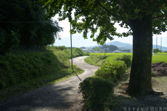 明日香村　大字橘