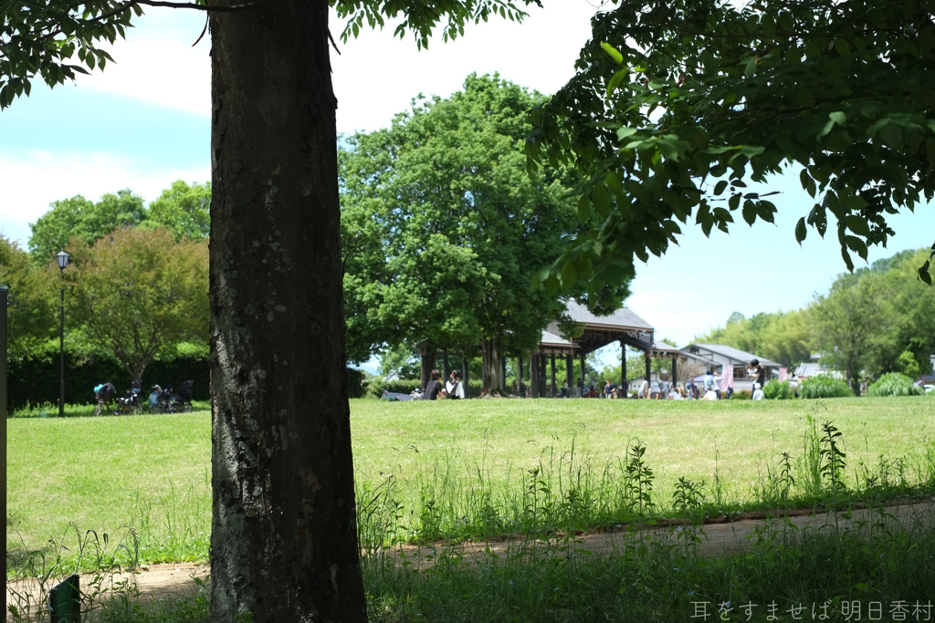 明日香村　大字島庄（ 国営飛鳥歴史公園　石舞台地区 ）