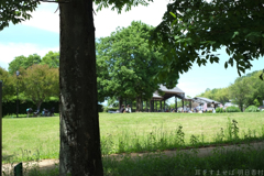 明日香村 大字島庄( 国営飛鳥歴史公園 石舞台地区 ) 明日香村 大字島庄( 国営飛鳥歴史公園 石舞台地区 )