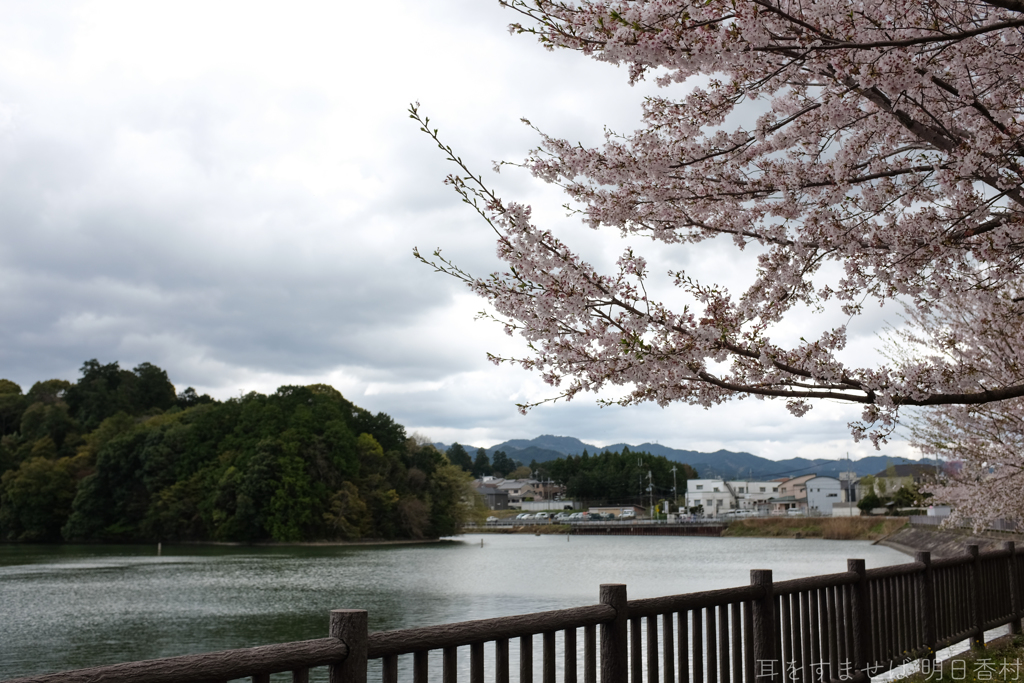 橿原市　石川町
