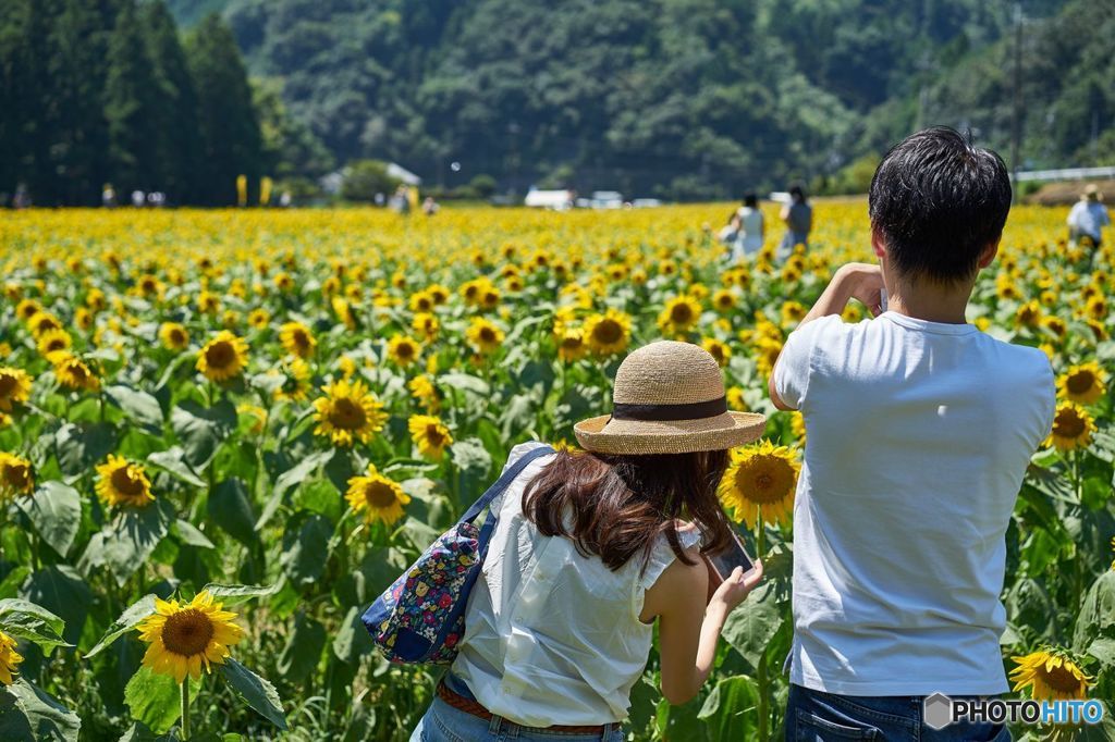 太陽と麦わら帽子