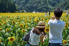 太陽と麦わら帽子