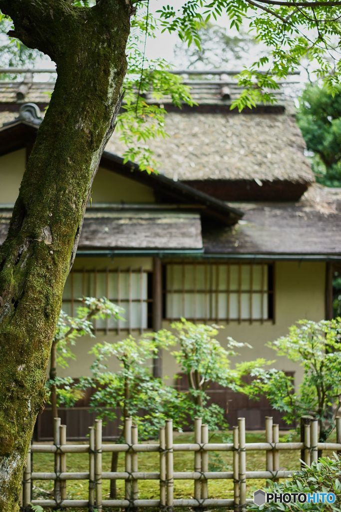 詫びさびの東屋