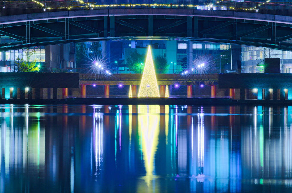環水公園