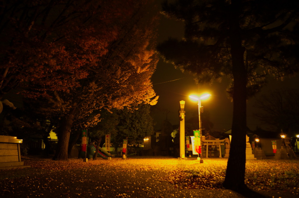 深夜徘徊紅葉編2