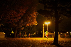 深夜徘徊紅葉編2