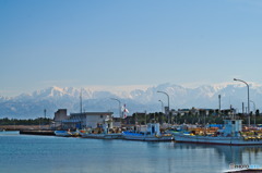 海の幸山の幸？