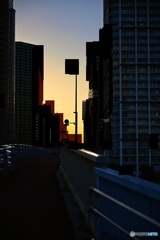 夕方の散歩道