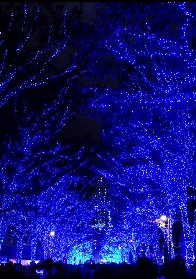 青いとおり