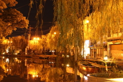 柳川