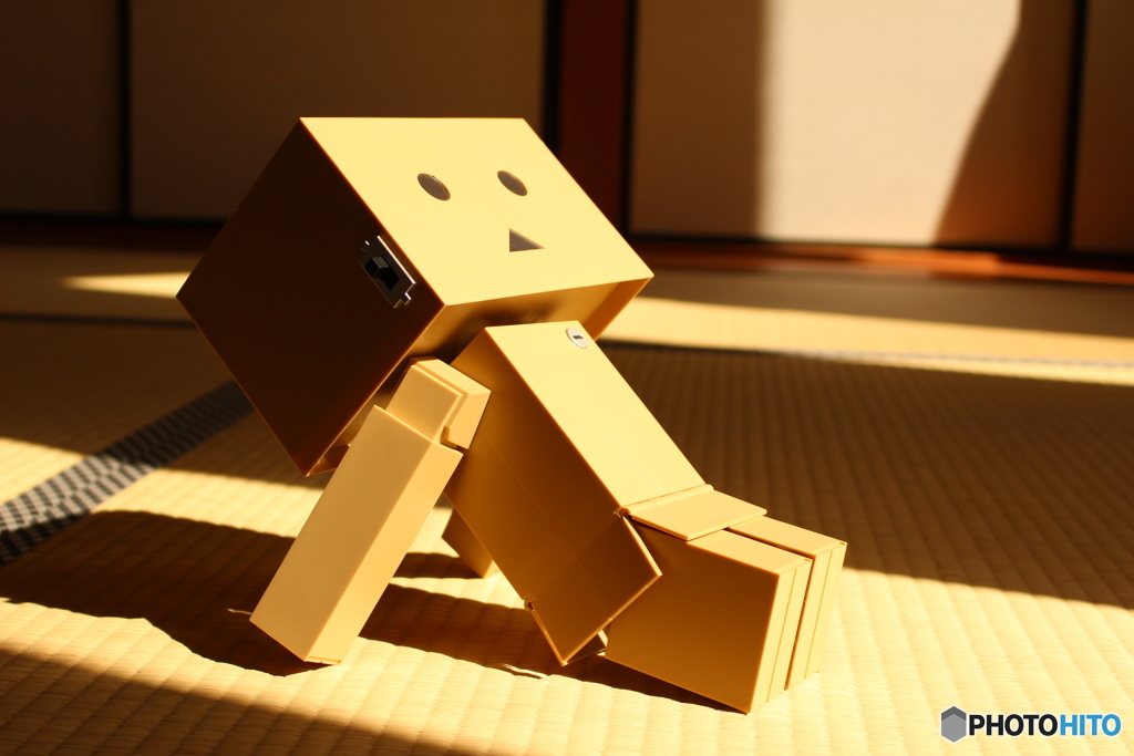 畳ぼっこ