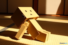 畳ぼっこ
