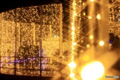 MerryX'mas