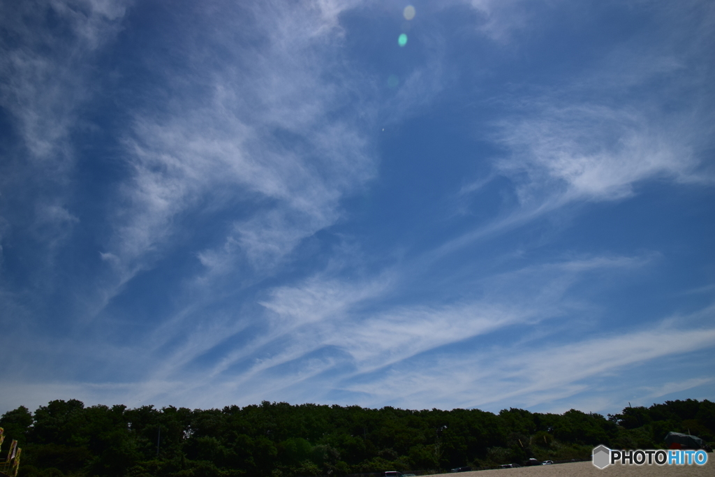 ある夏の39.3℃の日