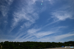 ある夏の39.3℃の日