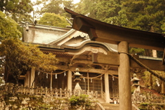 DSCF1139
