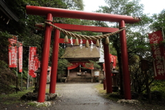 DSCF1174