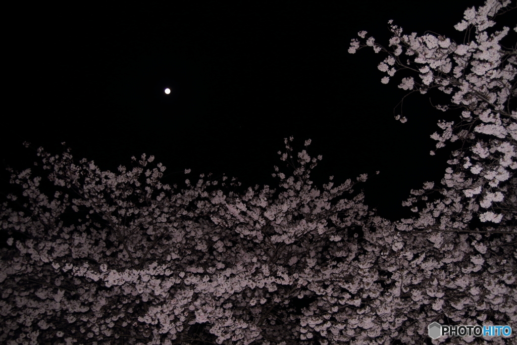 重なる時